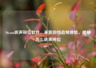 Steam听声辩位软件，革新游戏音频体验，揭秘怎么听声辨位