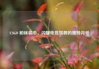 CSGO 柏林铜币，闪耀电竞世界的独特符号
