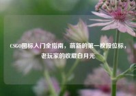 CSGO图标入门全指南，萌新的第一枚段位标，老玩家的收藏白月光