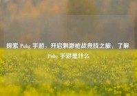 探索 Pubg 手游，开启刺激枪战竞技之旅，了解 Pubg 手游是什么