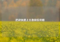 逆战快速上王者段位攻略