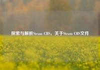 探索与解析Steam CHS，关于Steam CHS文件