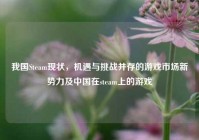 我国Steam现状，机遇与挑战并存的游戏市场新势力及中国在steam上的游戏