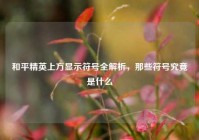 和平精英上方显示符号全解析，那些符号究竟是什么