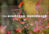 PUBG 最佳画质设置指南，畅享极致舒服游戏体验