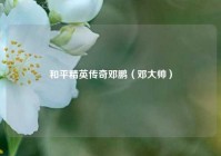 和平精英传奇邓鹏（邓大帅）