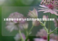 王者荣耀中鲁班与小莲的奇妙冒险及玩法解析