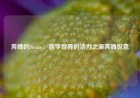 奔腾的Steam，数字世界的活力之源奔腾悦意