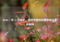 PUBG 7 月 15 日维护，游戏世界的短暂停歇与全新期待