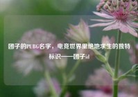 团子的PUBG名字，电竞世界里绝地求生的独特标识——团子id