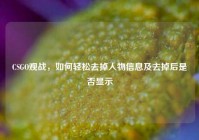 CSGO观战，如何轻松去掉人物信息及去掉后是否显示