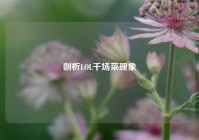 剖析LOL千场菜现象