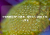 印度尼西亚的PUBG热潮，游戏与文化交融下的pubg漫展