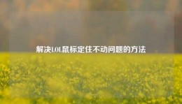 解决LOL鼠标定住不动问题的方法