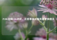 PUBG兑换CDK途径、注意事项及服务器更换相关