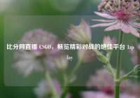 比分网直播 CSGO，畅览精彩对战的绝佳平台 1zplay
