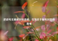 逆战号无端被封称违规，引发关于账号封禁的思考