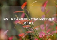 沫辞，在王者荣耀峡谷，把普通玩家的热爱熬成一束光