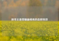 探寻王者荣耀最稀有的击败特效