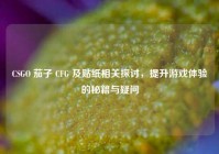 CSGO 茄子 CFG 及贴纸相关探讨，提升游戏体验的秘籍与疑问