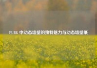 PUBG 中动态墙壁的独特魅力与动态墙壁纸