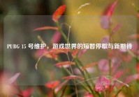 PUBG 15 号维护，游戏世界的短暂停歇与新期待