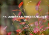 PUBG 快速提升熟练度以增强游戏实力的关键策略