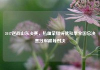 2017逆战山东决赛，热血荣耀铸就秋季全国总决赛冠军巅峰对决