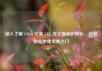 深入了解 CSGO 交易 URL 及交易保护时长，开启安全便捷交易之门