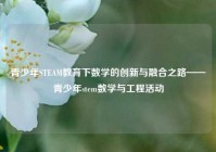 青少年STEAM教育下数学的创新与融合之路——青少年stem数学与工程活动