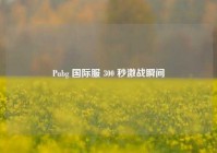 Pubg 国际服 300 秒激战瞬间