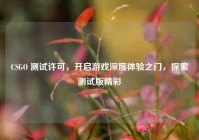 CSGO 测试许可，开启游戏深度体验之门，探索测试版精彩