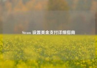 Steam 设置美金支付详细指南