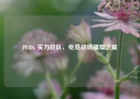 PUBG 实力战队，电竞战场璀璨之星