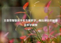 王者荣耀魅族手机专属教学，畅玩峡谷的秘籍及教学视频