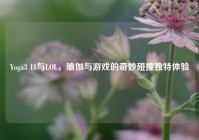Yoga3 11与LOL，瑜伽与游戏的奇妙碰撞独特体验
