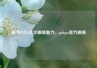 探寻PUBG正宗画质魅力，pubgm官方画质