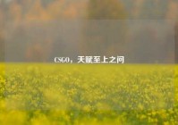 CSGO，天赋至上之问