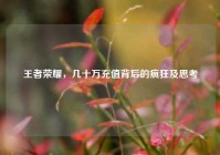 王者荣耀，几十万充值背后的疯狂及思考