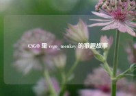 CSGO 里 csgo_monkey 的猴趣故事
