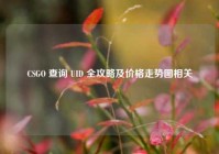 CSGO 查询 UID 全攻略及价格走势图相关