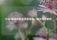PUBG 面罩获取全攻略指南，购买方式解析