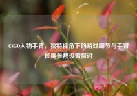 CSGO人物手臂，独特视角下的游戏细节与手臂长度参数设置探讨