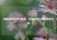 探秘迷你世界CF基地，位置探寻与别样冒险天地