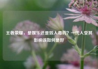 王者荣耀，是娱乐还是毁人毒药？一代人受其影响该如何是好