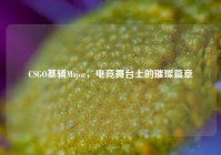 CSGO基辅Major，电竞舞台上的璀璨篇章
