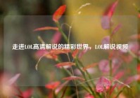 走进LOL高清解说的精彩世界，LOL解说视频