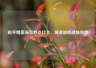 和平精英海岛野点打卡，探寻别样战场风情