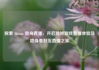 探索 Steam 隐身直播，开启独特游戏直播体验及隐身看好友直播之旅