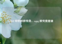 CSGO 中的胖胖传奇，csgog 胖究竟是谁